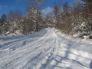 IMG_0989