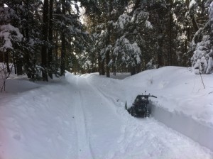 Snow Blower