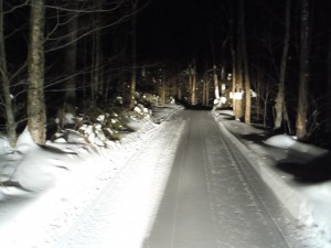 DSCF0115