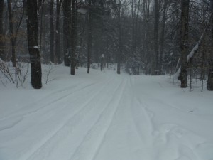DSCF0135