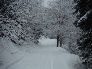 DSCF0209